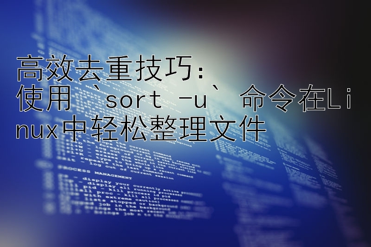 高效去重技巧：  使用 `sort -u` 命令在Linux中轻松整理文件