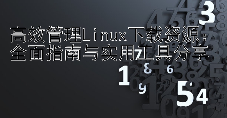 高效管理Linux下载资源：全面指南与实用工具分享