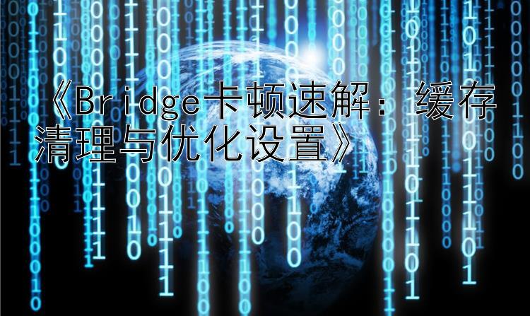 《Bridge卡顿速解：缓存清理与优化设置》