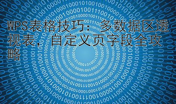 WPS表格技巧：多数据区透视表，自定义页字段全攻略