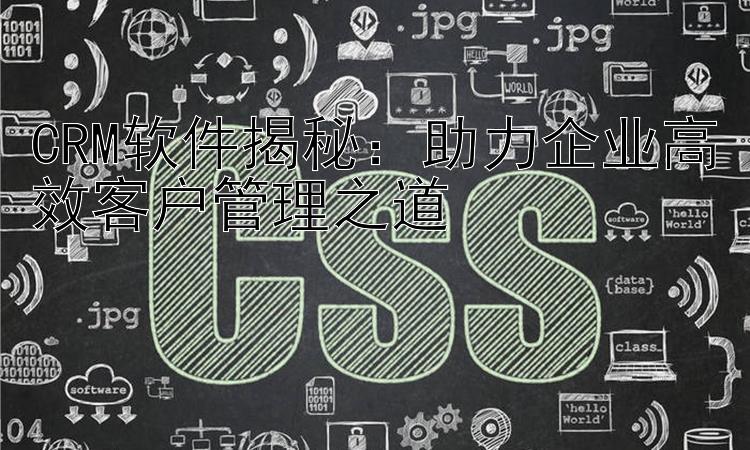 CRM软件揭秘：助力企业高效客户管理之道